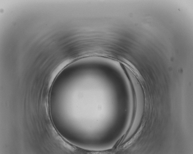 X0000073710812200608101837