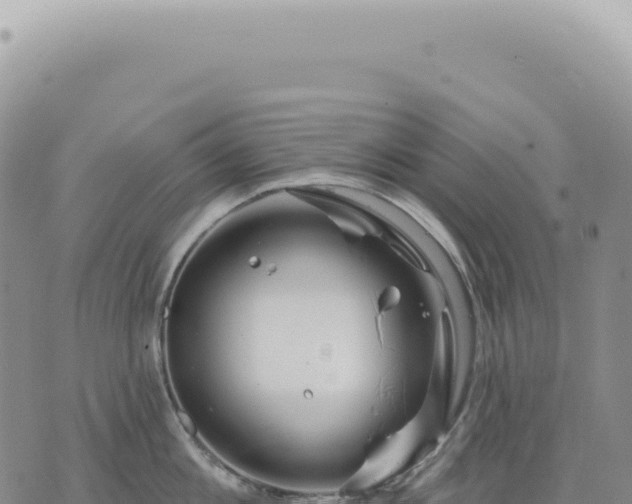 X0000073710813200608101837