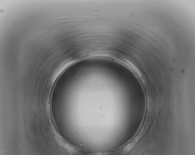 X0000073710814200608101837