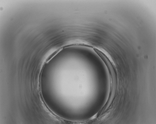 X0000073710815200608101837