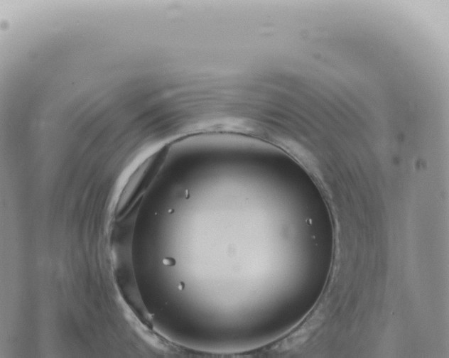 X0000073710816200608101837