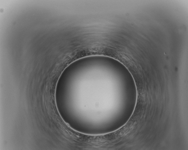 X0000073710817200608101836