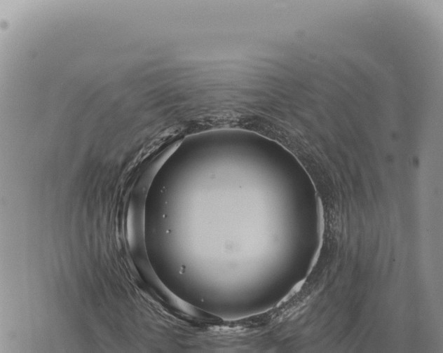 X0000073710818200608101836