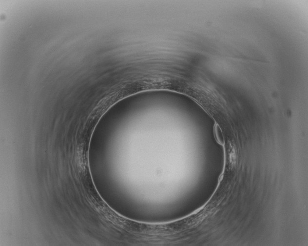 X0000073710819200608101836