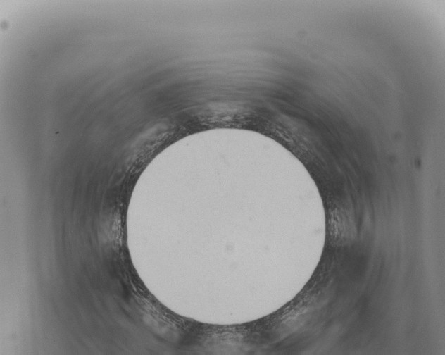 X0000073710820200608101836