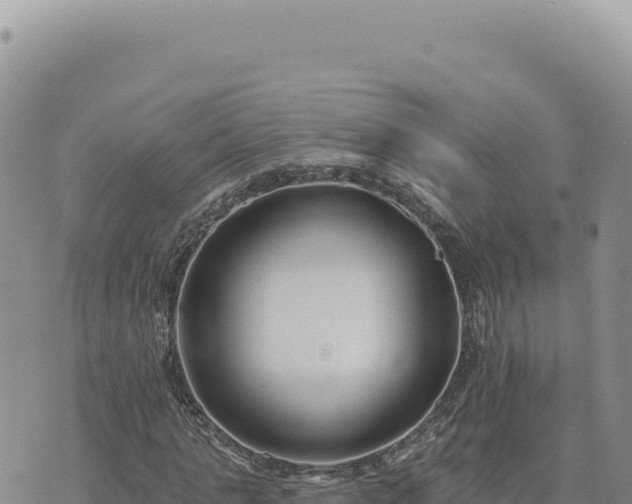 X0000073710821200608101836