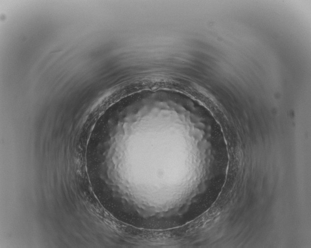 X0000073710823200608101836