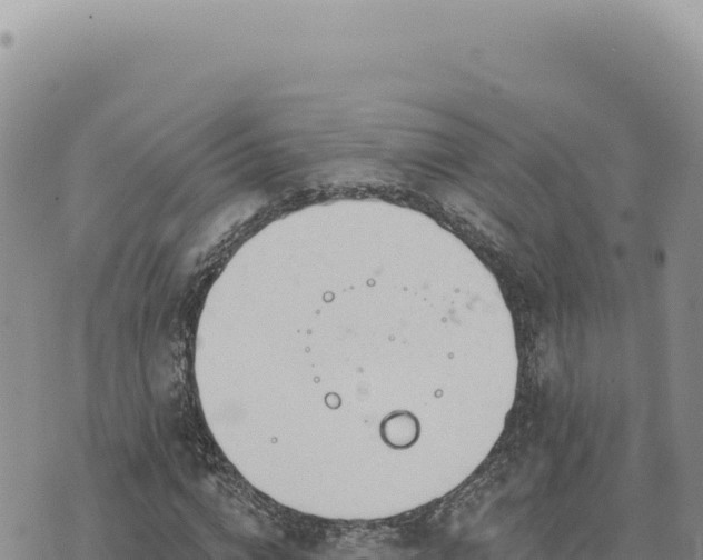 X0000073710824200608101836