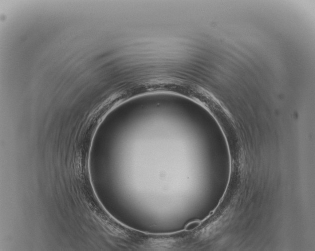 X0000073710825200608101836