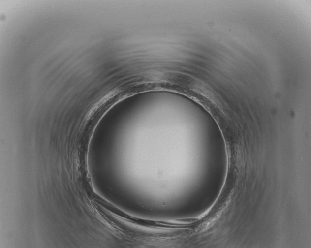 X0000073710826200608101836