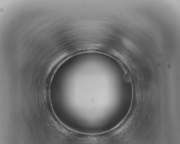 X0000073710827200608101837