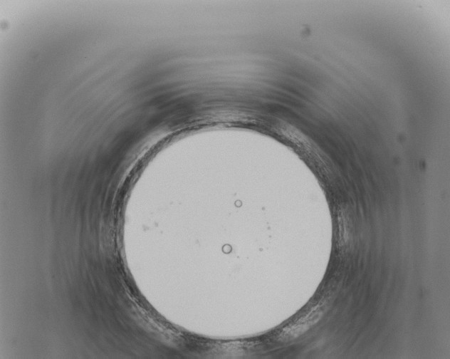 X0000073710828200608101837