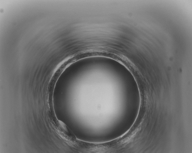 X0000073710830200608101837