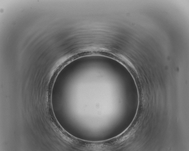 X0000073710831200608101837