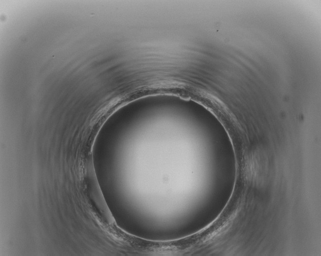 X0000073710833200608101837