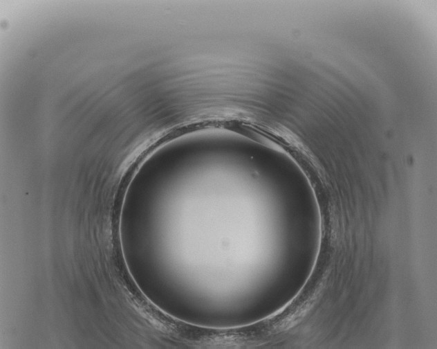 X0000073710834200608101837