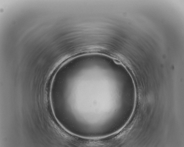 X0000073710835200608101837