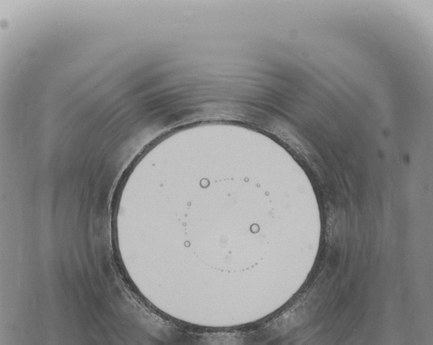 X0000073710836200608101837