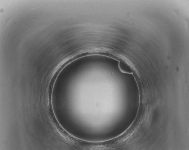 X0000073710837200608101837