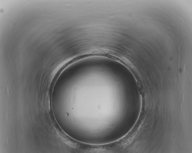 X0000073710838200608101837