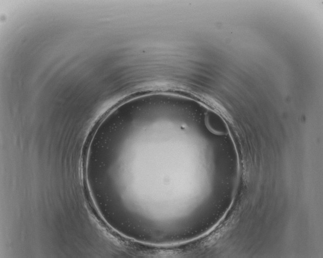 X0000073710839200608101837