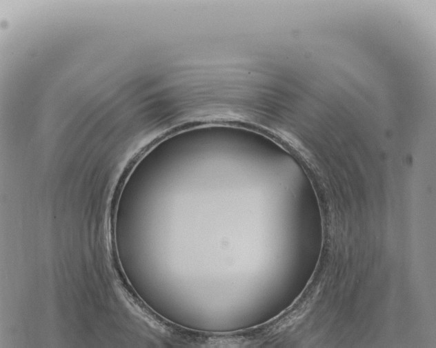 X0000073710840200608101837