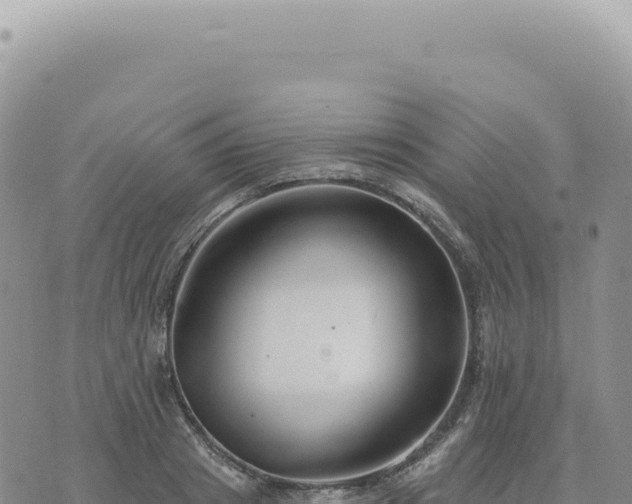 X0000073710841200608101837