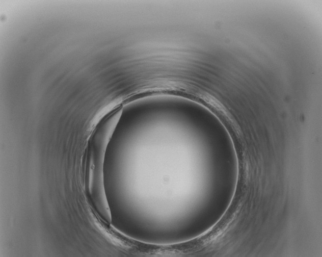 X0000073710842200608101837