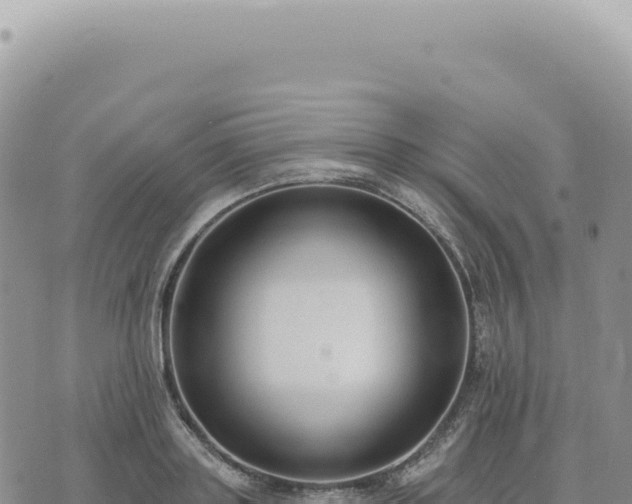 X0000073710843200608101837