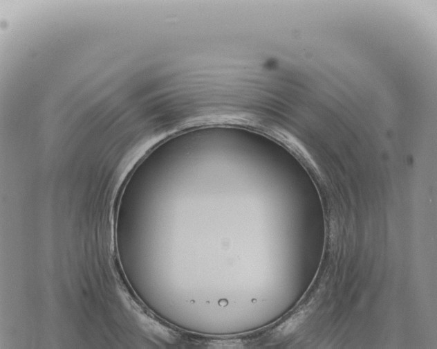 X0000073710844200608101837