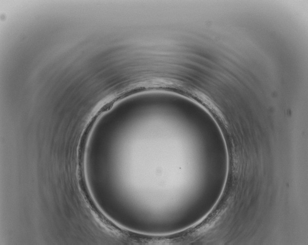 X0000073710845200608101837