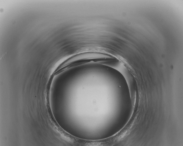 X0000073710846200608101837