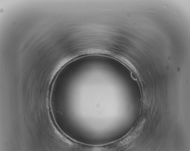 X0000073710847200608101837