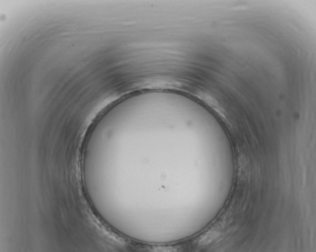 X0000073710848200608101837