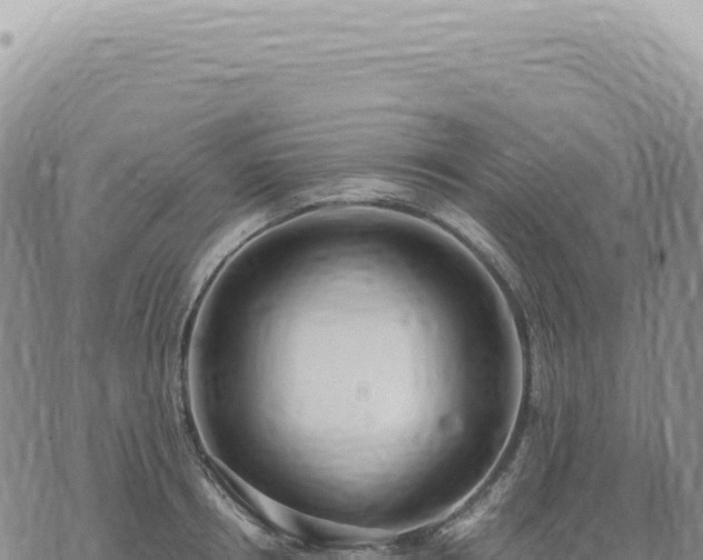 X0000073710850200608101837