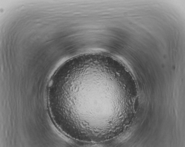 X0000073710851200608101837