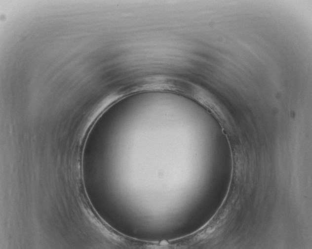 X0000073710852200608101837