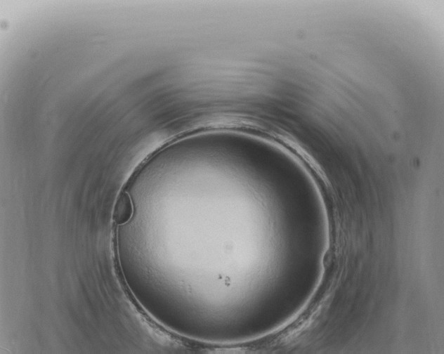 X0000073710853200608101837