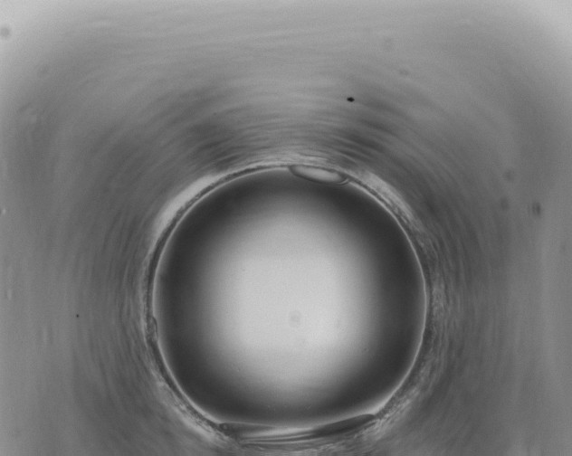 X0000073710854200608101837