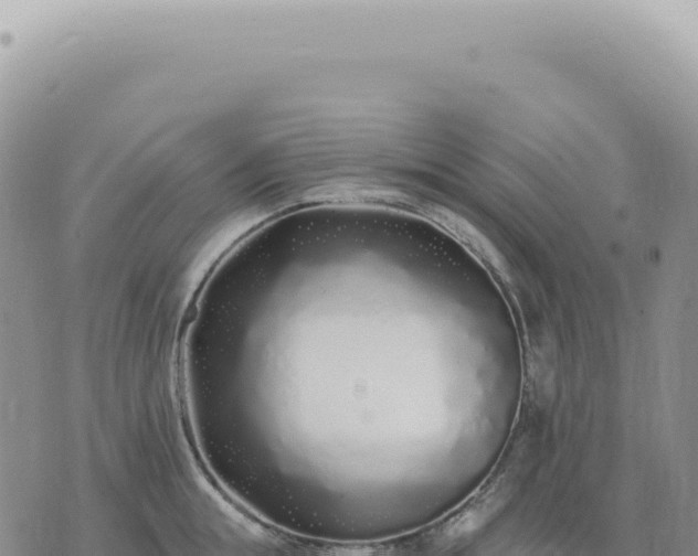 X0000073710855200608101837