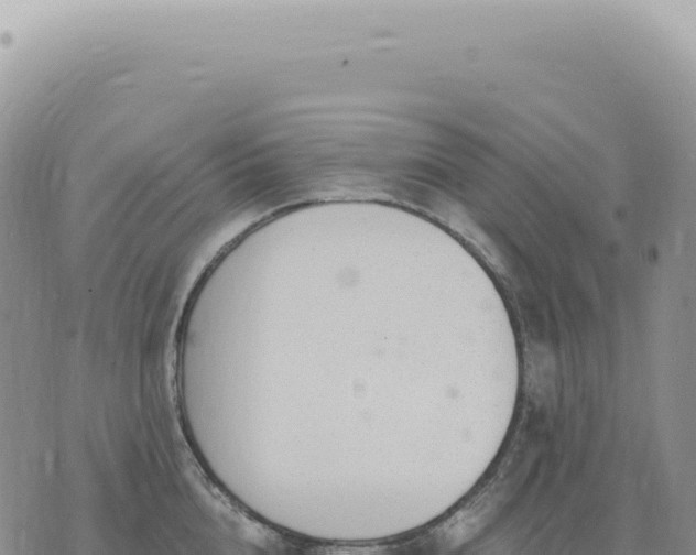 X0000073710856200608101837