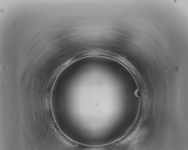 X0000073710857200608101837