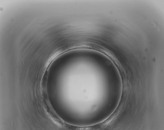 X0000073710858200608101837