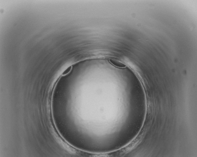 X0000073710859200608101837