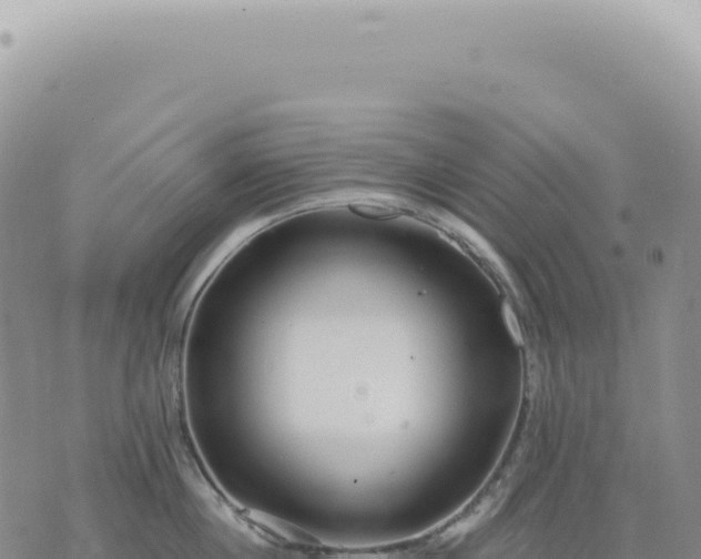 X0000073710860200608101837