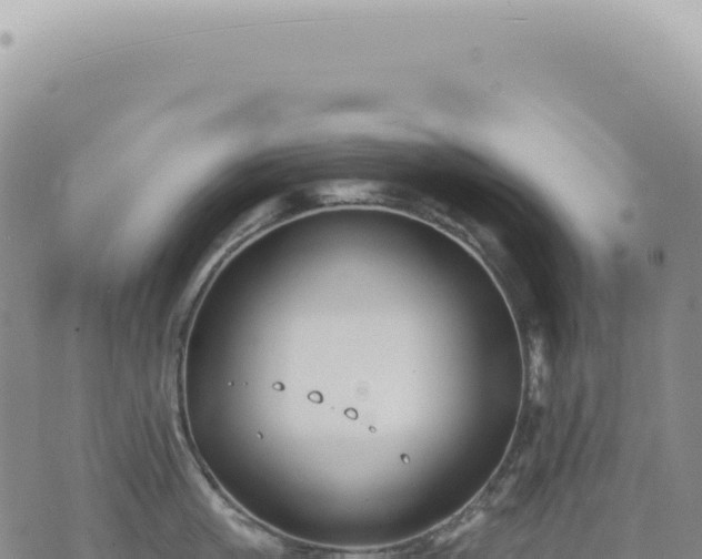 X0000073710861200608101837