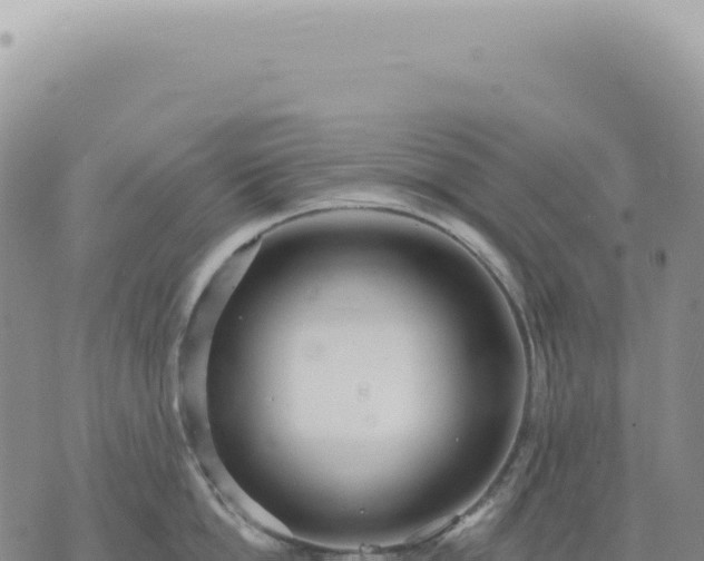 X0000073710862200608101837