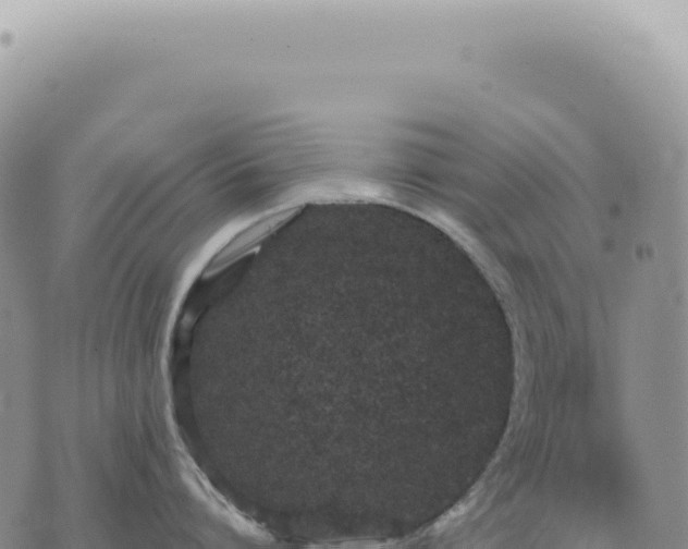 X0000073710864200608101837