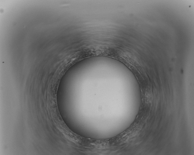 X0000073710865200608101836