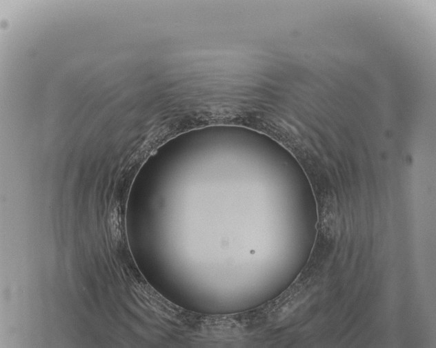 X0000073710866200608101836